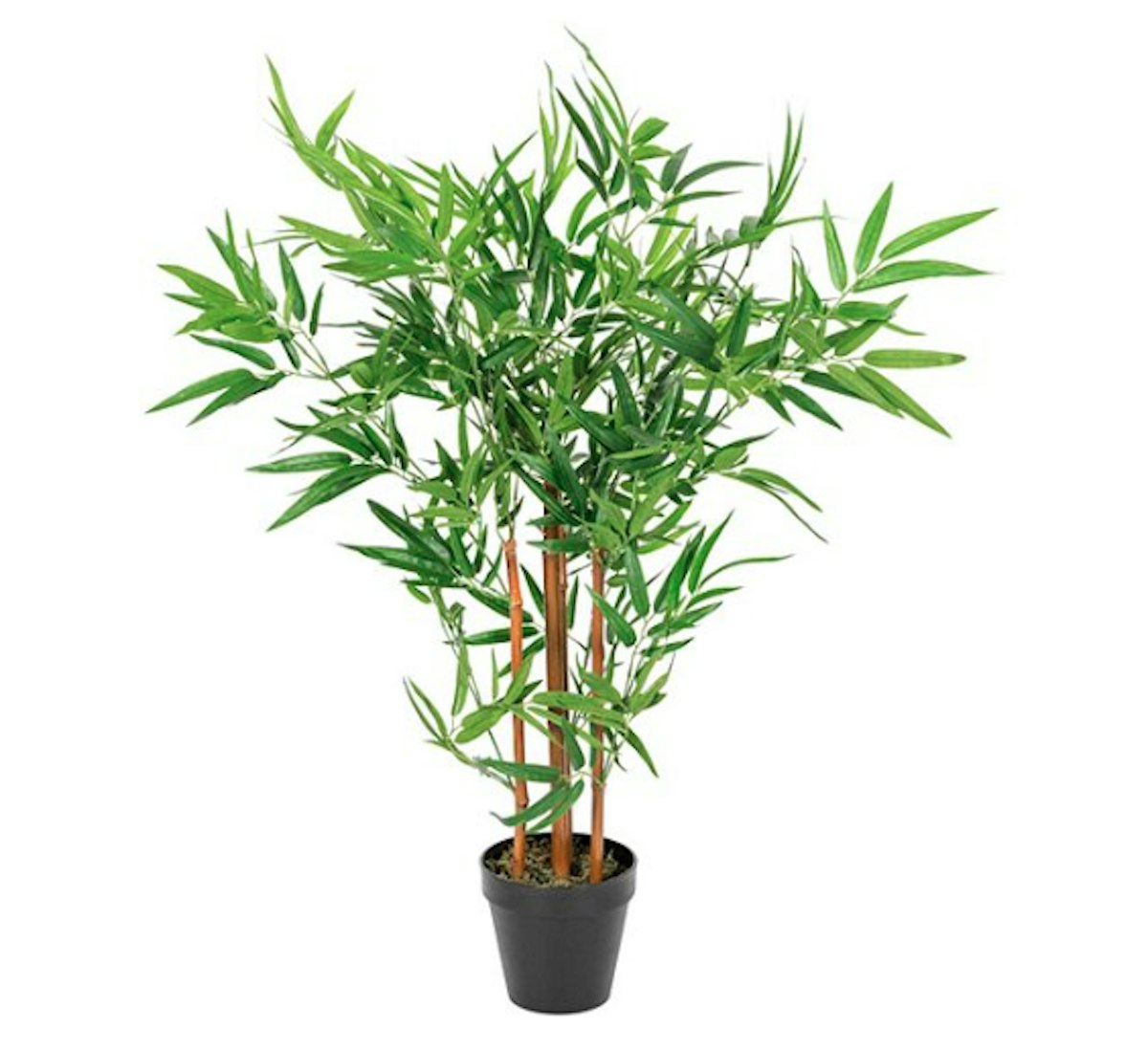 9 Artificial Houseplants To Buy If You’re Rubbish At Keeping Real Ones Alive channel_name